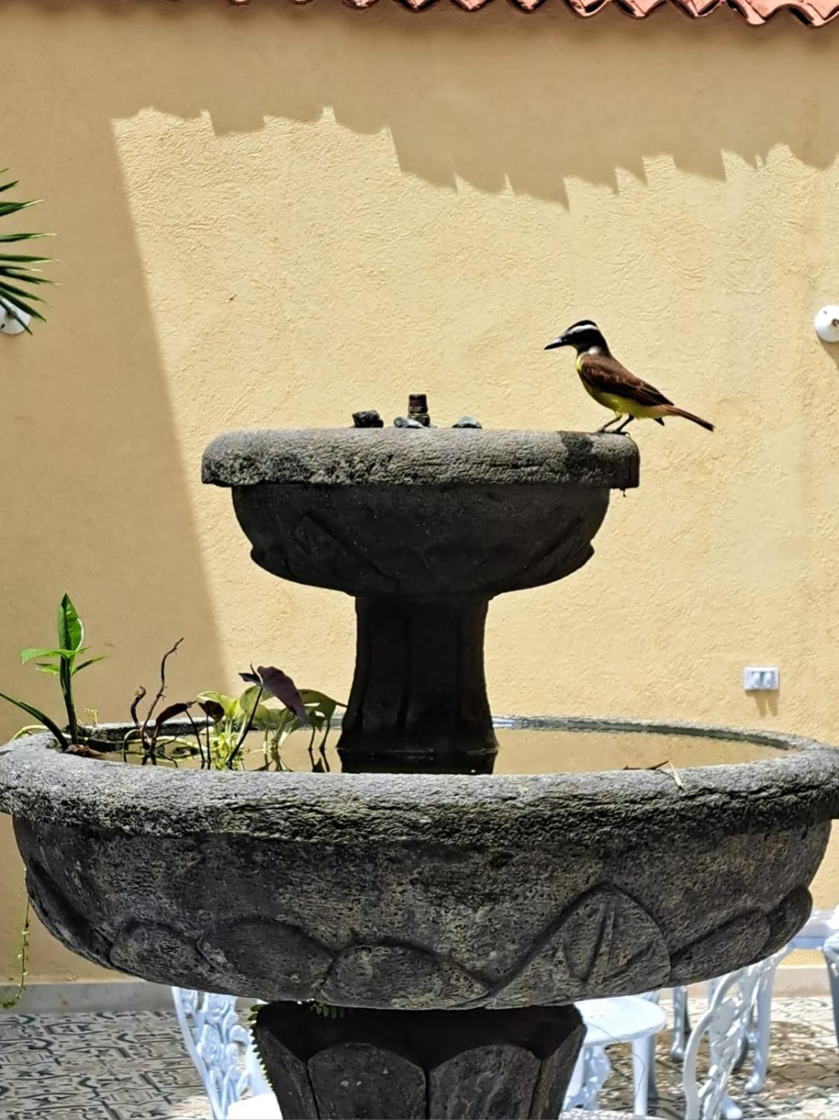 Casa Sileo - Boutique Hotel Cali Luaran gambar